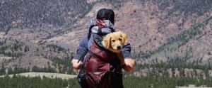 Trail Mix: 5 Unique Hiking Essentials for Fall Frolics image