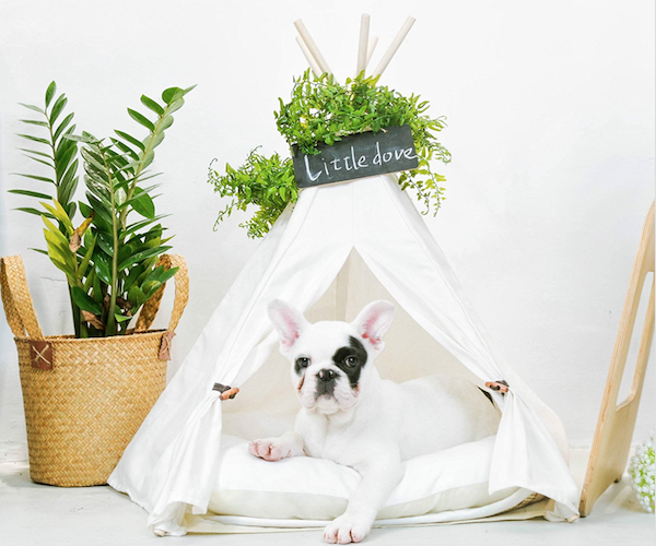 Little Dove Pet Teepee