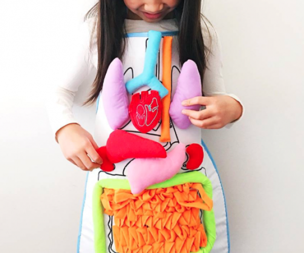 Educational Anatomy Apron 