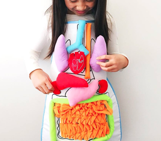 Educational Anatomy Apron 