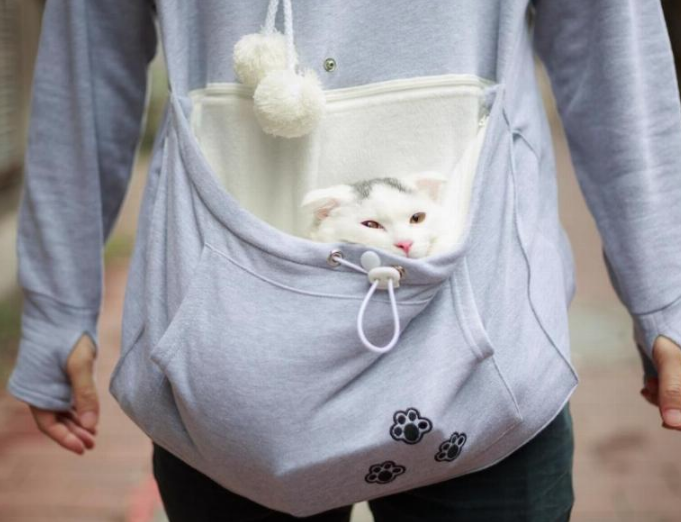 Pet Pouch Hoodie