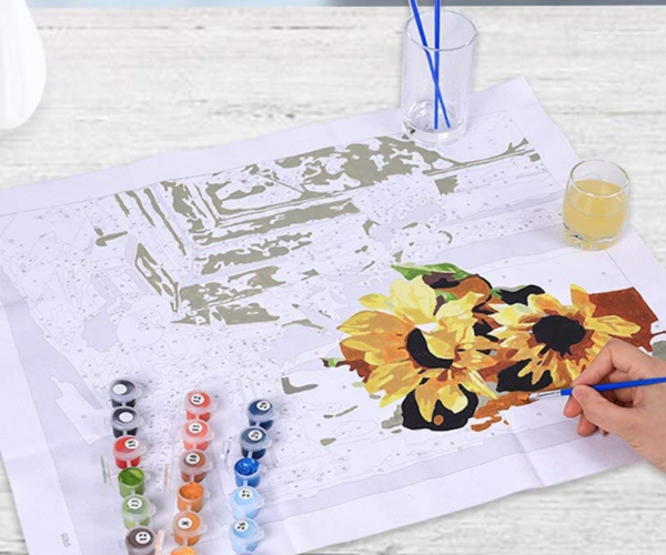 Paint by Numbers for Adults