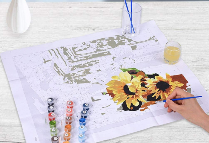 Paint by Numbers for Adults