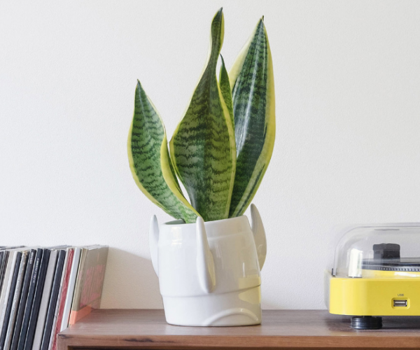 Rocket Ship Planter