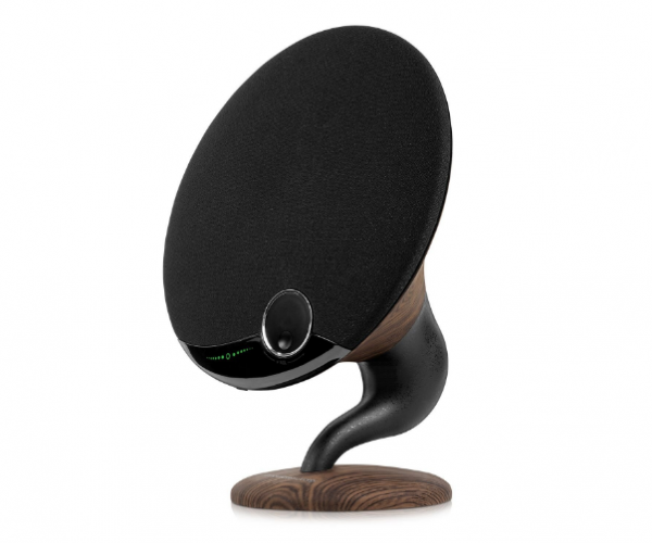 Gramophone Speaker