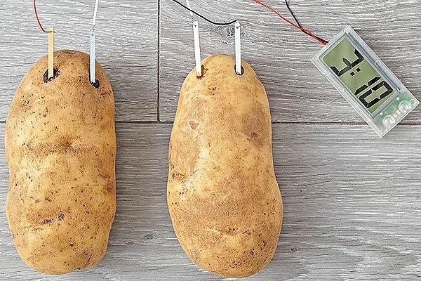 Potato Clock Kit