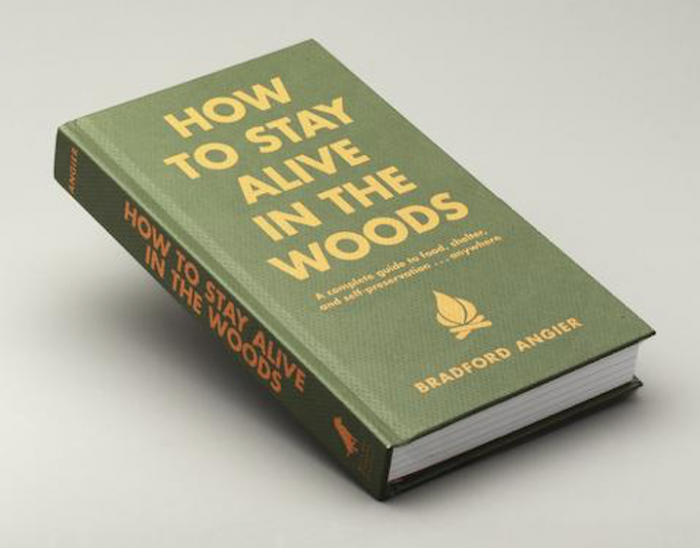 How to Stay Alive in the Woods 