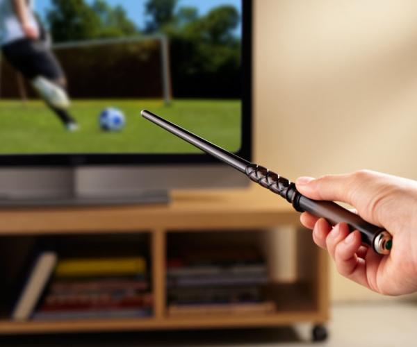 Harry Potter Remote Control Wand