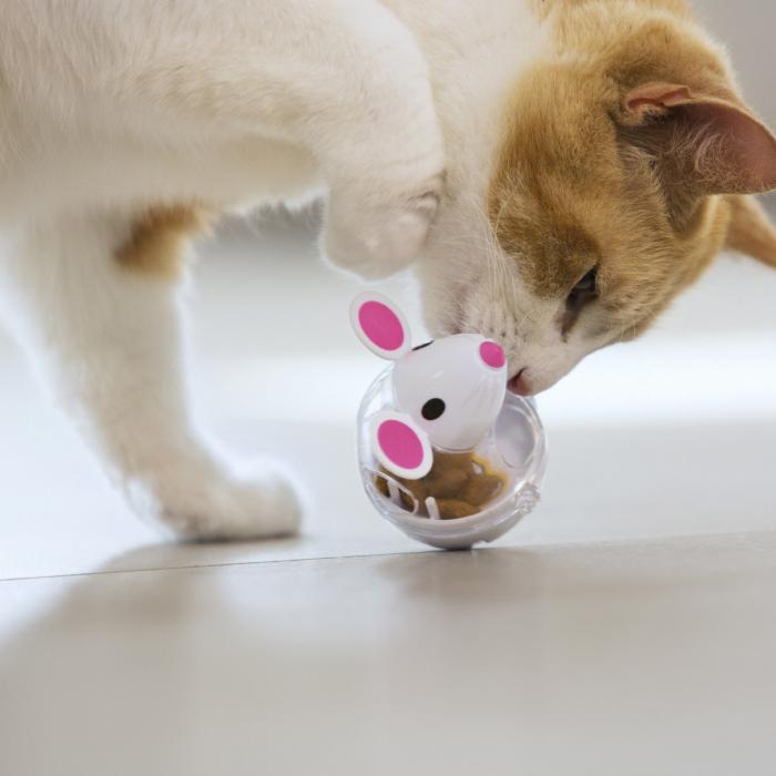 Cat Treat Mouse Toy
