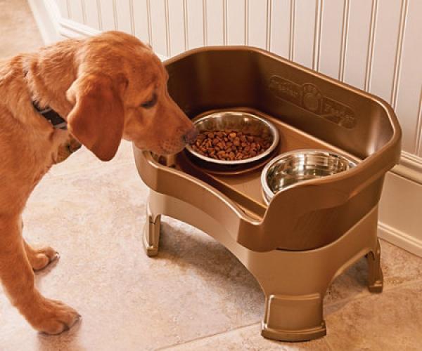 Neater Feeder Pet Bowl