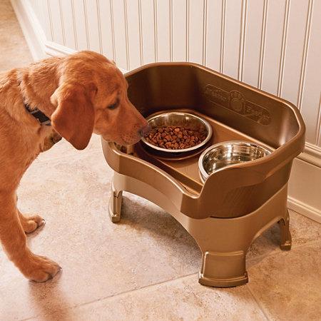 Neater Feeder Pet Bowl