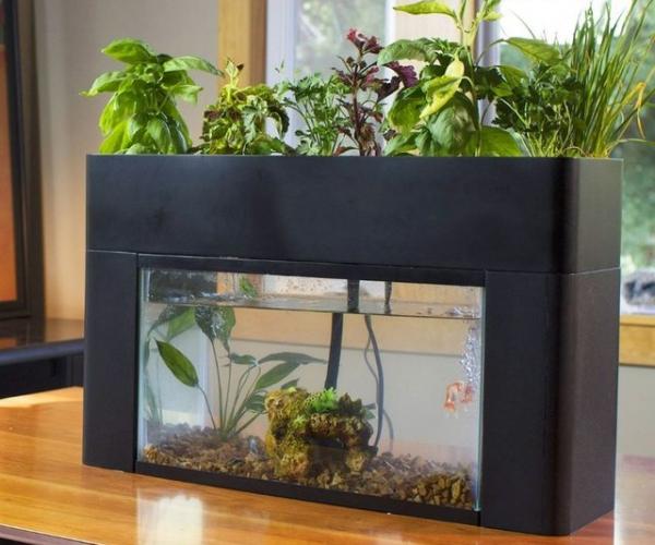 AquaSprouts Garden & Aquarium