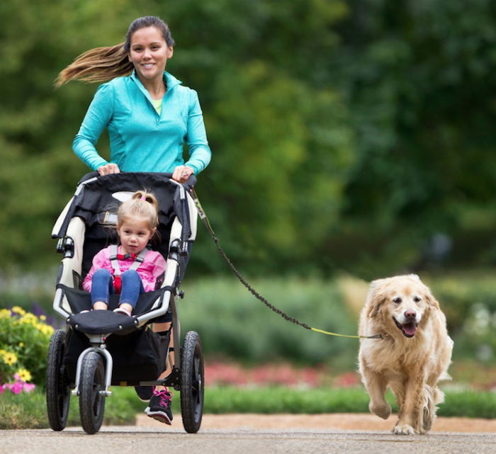 Hands Free Dog Leash