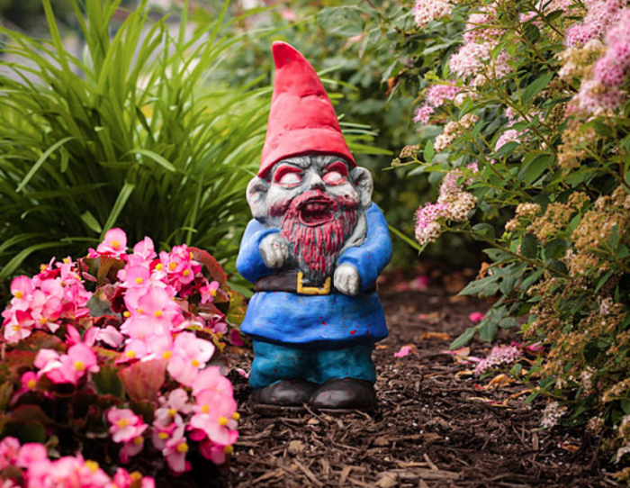 Zombie Garden Gnome