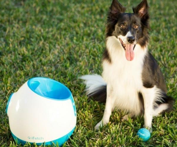 Ball Launcher for Dogs