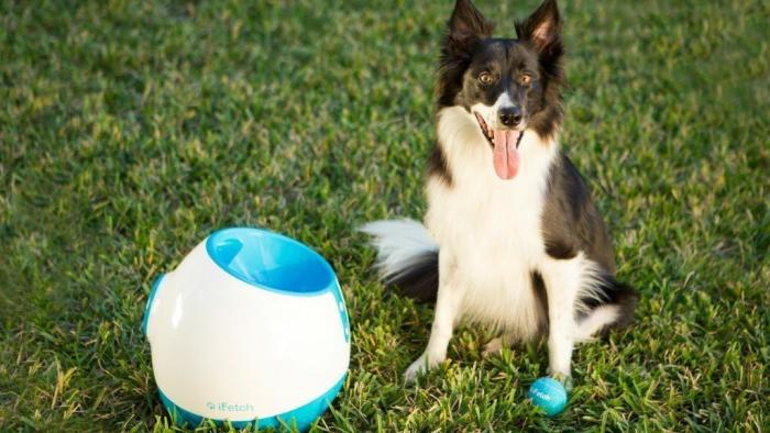 Ball Launcher for Dogs