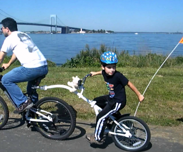 WeeRide Co-Pilot Bike Trailer