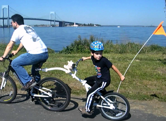 WeeRide Co-Pilot Bike Trailer