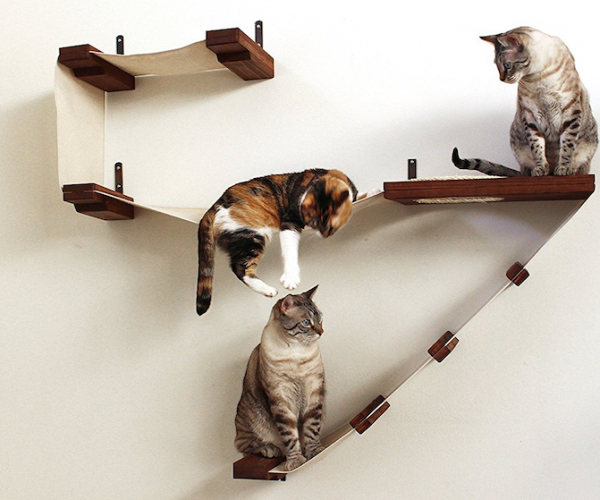 Cat Activity Wall 