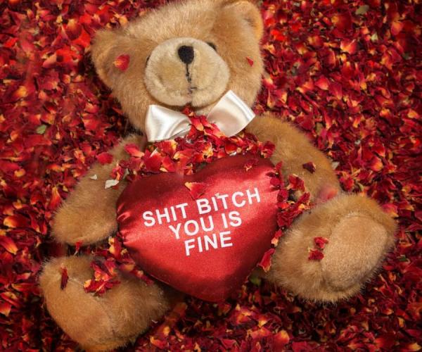 Shit B*tch You is Fine Teddy Bear
