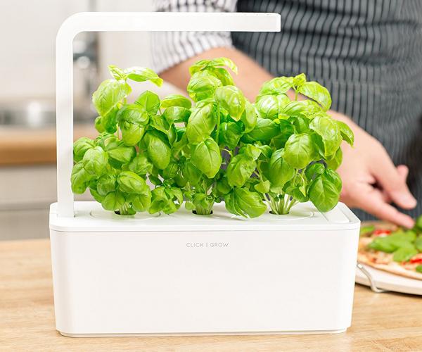 Smart Indoor Herb Garden