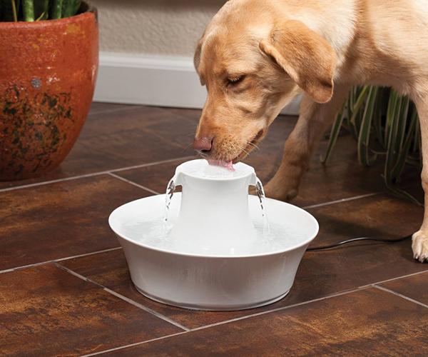 Ceramic Pet Fountain