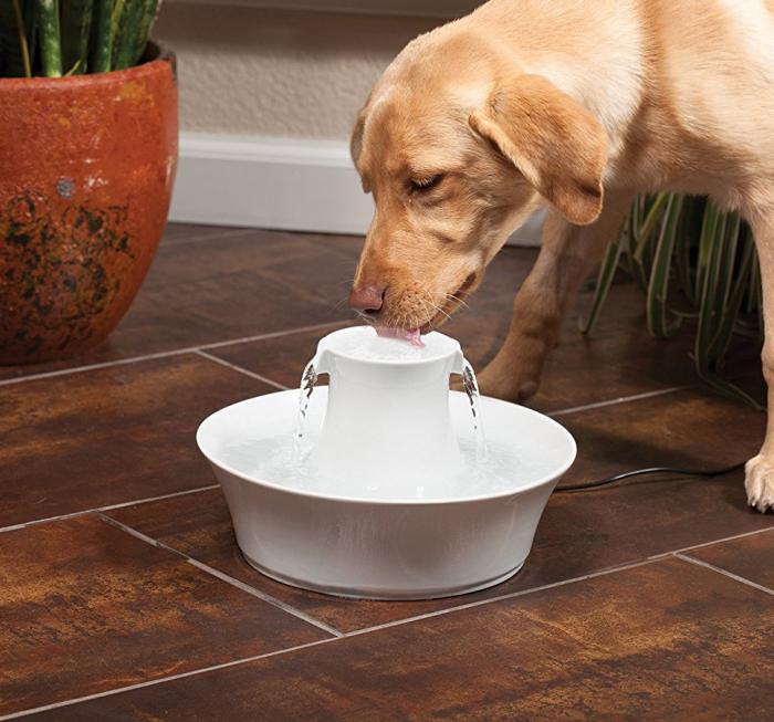 Ceramic Pet Fountain