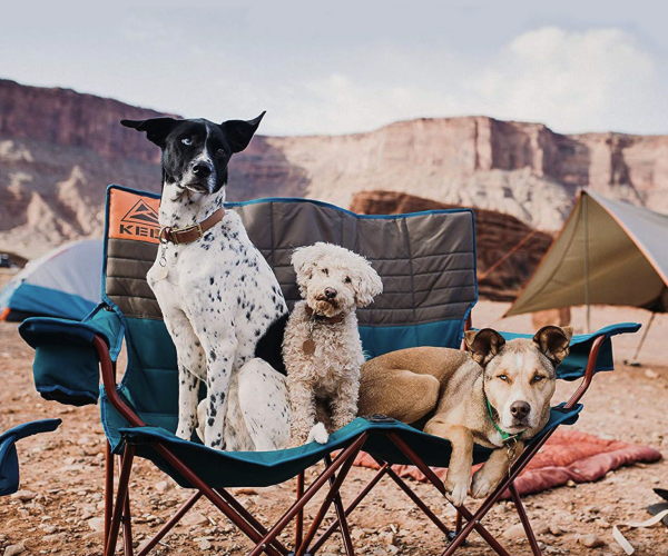 Camping Loveseat Folding Chair