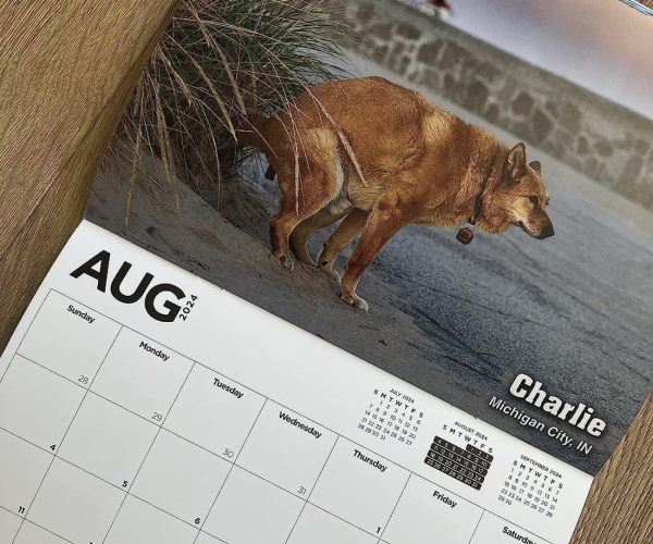 Dogs Pooping Calendar