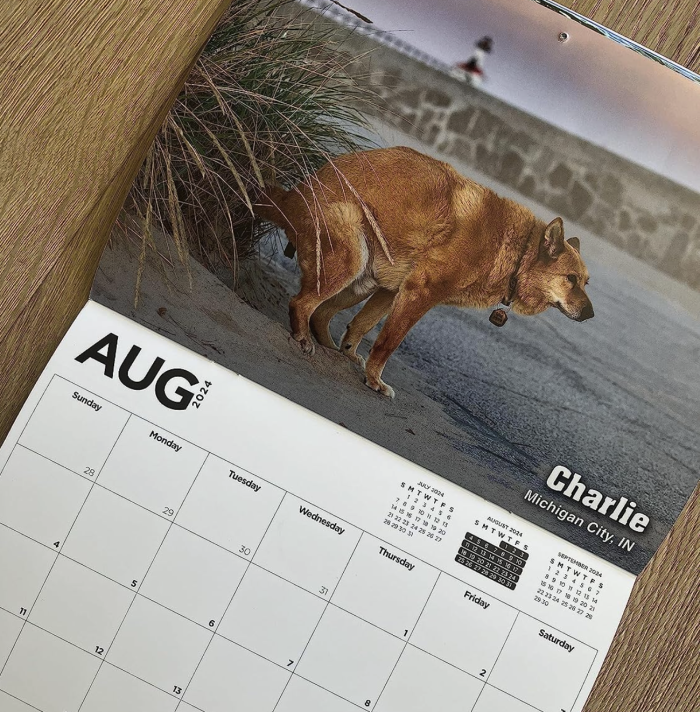 Dogs Pooping Calendar